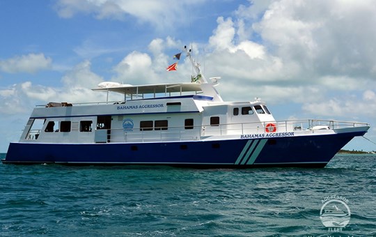 M/V Bahamas Aggressor yacht